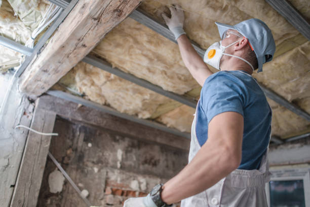Best Insulation Installation Services in Immokalee, FL