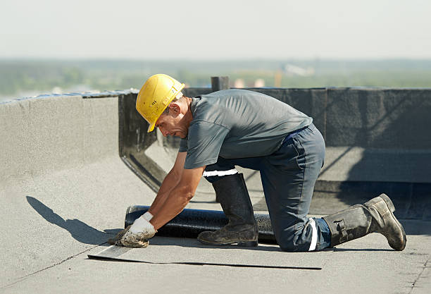 Best Specialty Insulation in Immokalee, FL